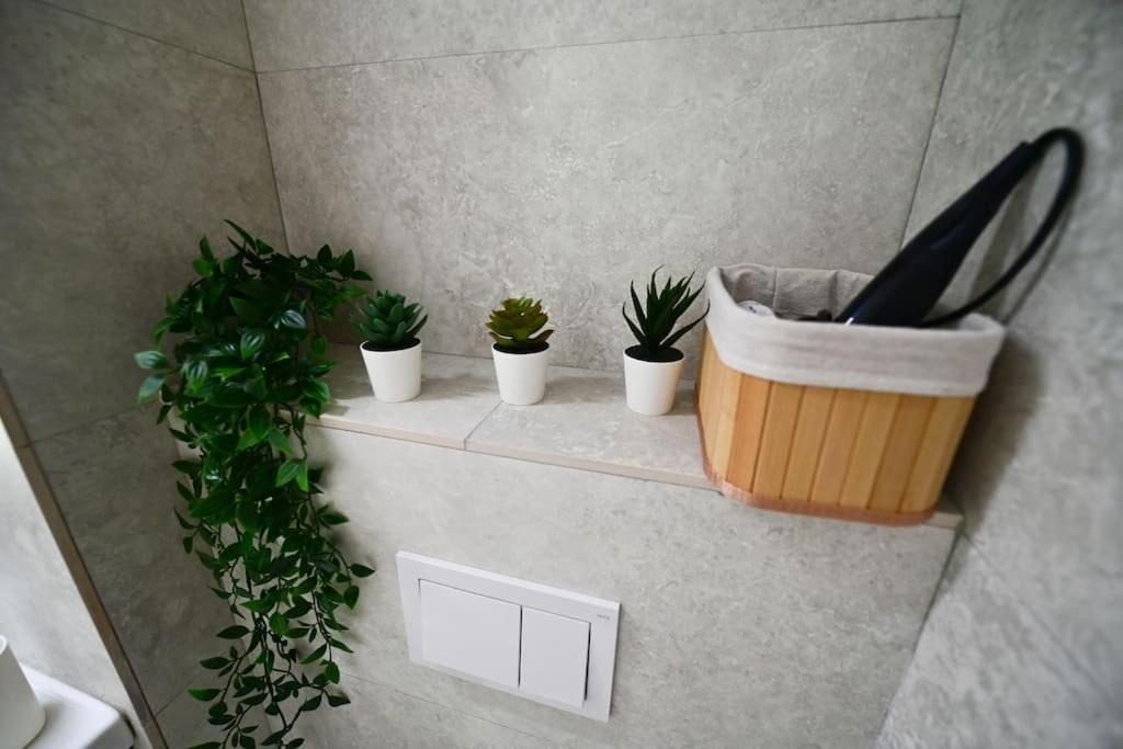 Flh - Apartament Damar 시비우 외부 사진