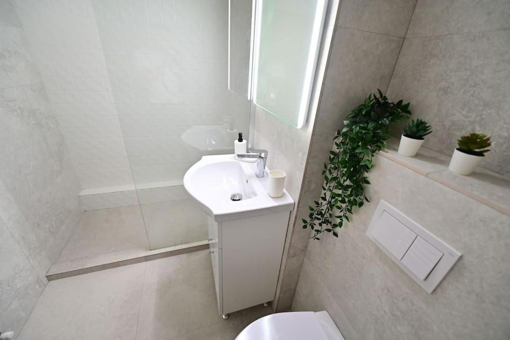Flh - Apartament Damar 시비우 외부 사진
